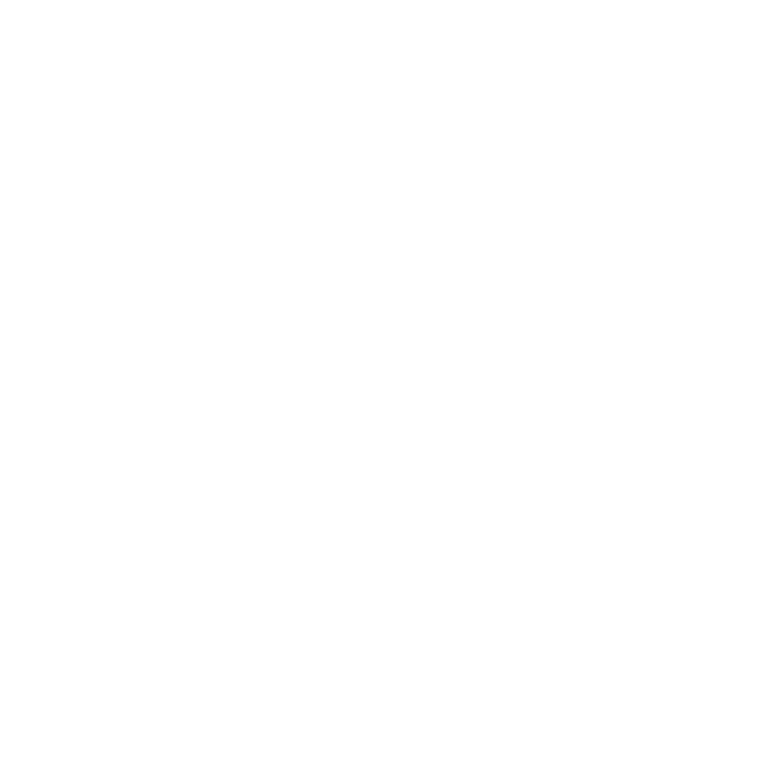 verify icon